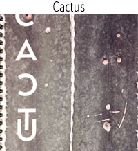 Livre Cactus